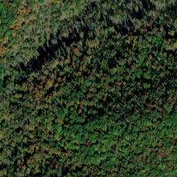 Satellite imagery of Gum Pond Cliff, US