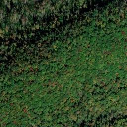 Satellite imagery of Gum Pond Cliff, US