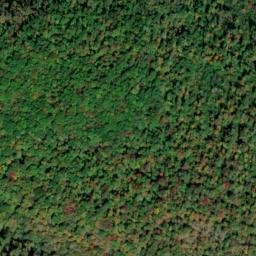 Satellite imagery of Gum Pond Cliff, US