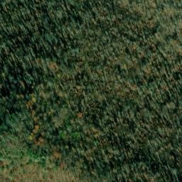 Satellite imagery of Buzzard Cliff, US