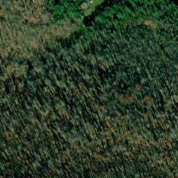 Satellite imagery of Buzzard Cliff, US