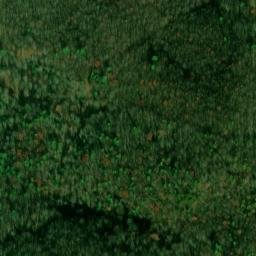 Satellite imagery of Buzzard Den Ridge, US
