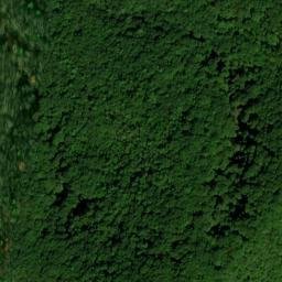 Satellite imagery of Buzzard Den Ridge, US