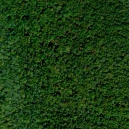 Satellite imagery of Elk Ridge, US
