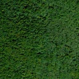 Satellite imagery of Elk Ridge, US
