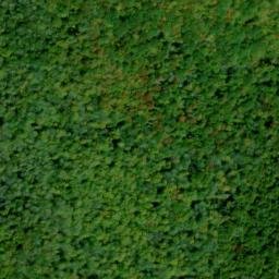 Satellite imagery of Elk Ridge, US