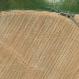 Satellite imagery of survey_point, DZ