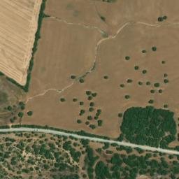 Satellite imagery of survey_point, DZ