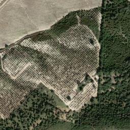 Satellite imagery of survey_point, DZ