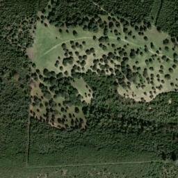 Satellite imagery of survey_point, DZ