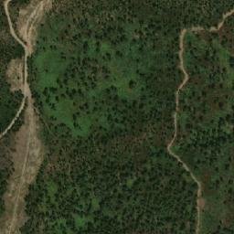 Satellite imagery of Djebel ed Debarh, DZ