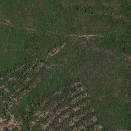 Satellite imagery of Kef el Harch, DZ