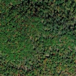 Satellite imagery of Gum Pond Cliff, US