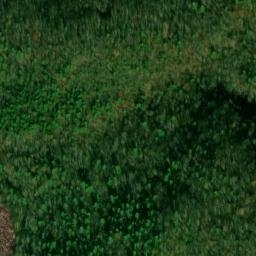 Satellite imagery of Buzzard Den Ridge, US