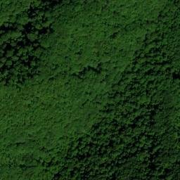 Satellite imagery of Buzzard Den Ridge, US