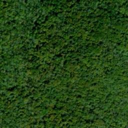 Satellite imagery of Elk Ridge, US