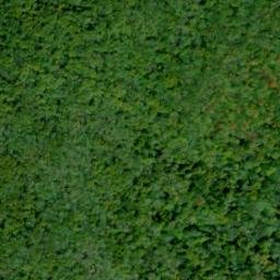 Satellite imagery of Elk Ridge, US
