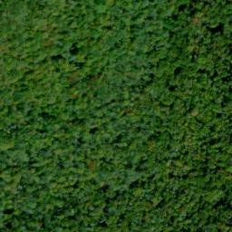Satellite imagery of Elk Ridge, US