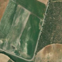 Satellite imagery of survey_point, DZ