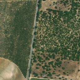 Satellite imagery of survey_point, DZ