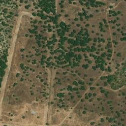 Satellite imagery of survey_point, DZ