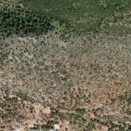 Satellite imagery of survey_point, DZ