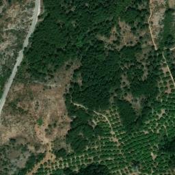Satellite imagery of survey_point, DZ