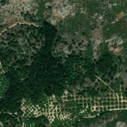 Satellite imagery of survey_point, DZ