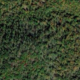 Satellite imagery of Gum Pond Cliff, US