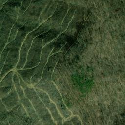 Satellite imagery of Trace Ridge, US