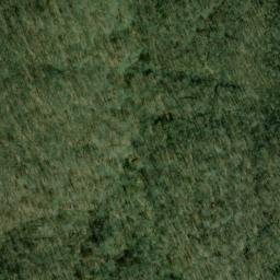 Satellite imagery of Trace Ridge, US