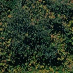 Satellite imagery of Wallen Ridge, US