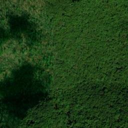 Satellite imagery of Buzzard Den Ridge, US