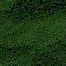 Satellite imagery of Buzzard Den Ridge, US
