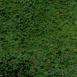 Satellite imagery of Elk Ridge, US