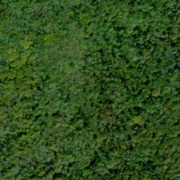 Satellite imagery of Elk Ridge, US