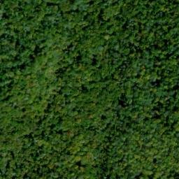 Satellite imagery of Elk Ridge, US