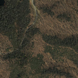 Satellite imagery of Big Bend of Dan, US