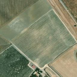 Satellite imagery of survey_point, DZ