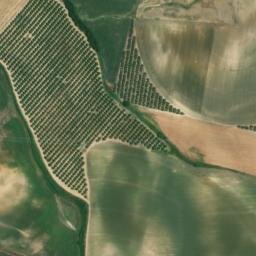 Satellite imagery of survey_point, DZ