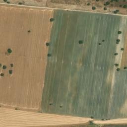 Satellite imagery of survey_point, DZ