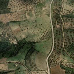 Satellite imagery of Djebel Bou Halloûf, DZ