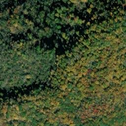 Satellite imagery of Wallen Ridge, US