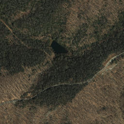 Satellite imagery of Big Bend of Dan, US
