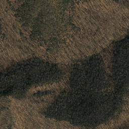 Satellite imagery of Big Bend of Dan, US