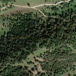 Satellite imagery of survey_point, DZ