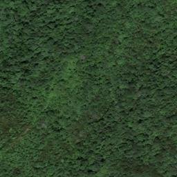 Satellite imagery of Pruitt Ridge, US