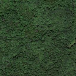 Satellite imagery of Pruitt Ridge, US