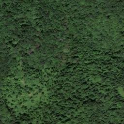 Satellite imagery of Pruitt Ridge, US