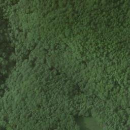 Satellite imagery of Lettered Oak Ridge, US